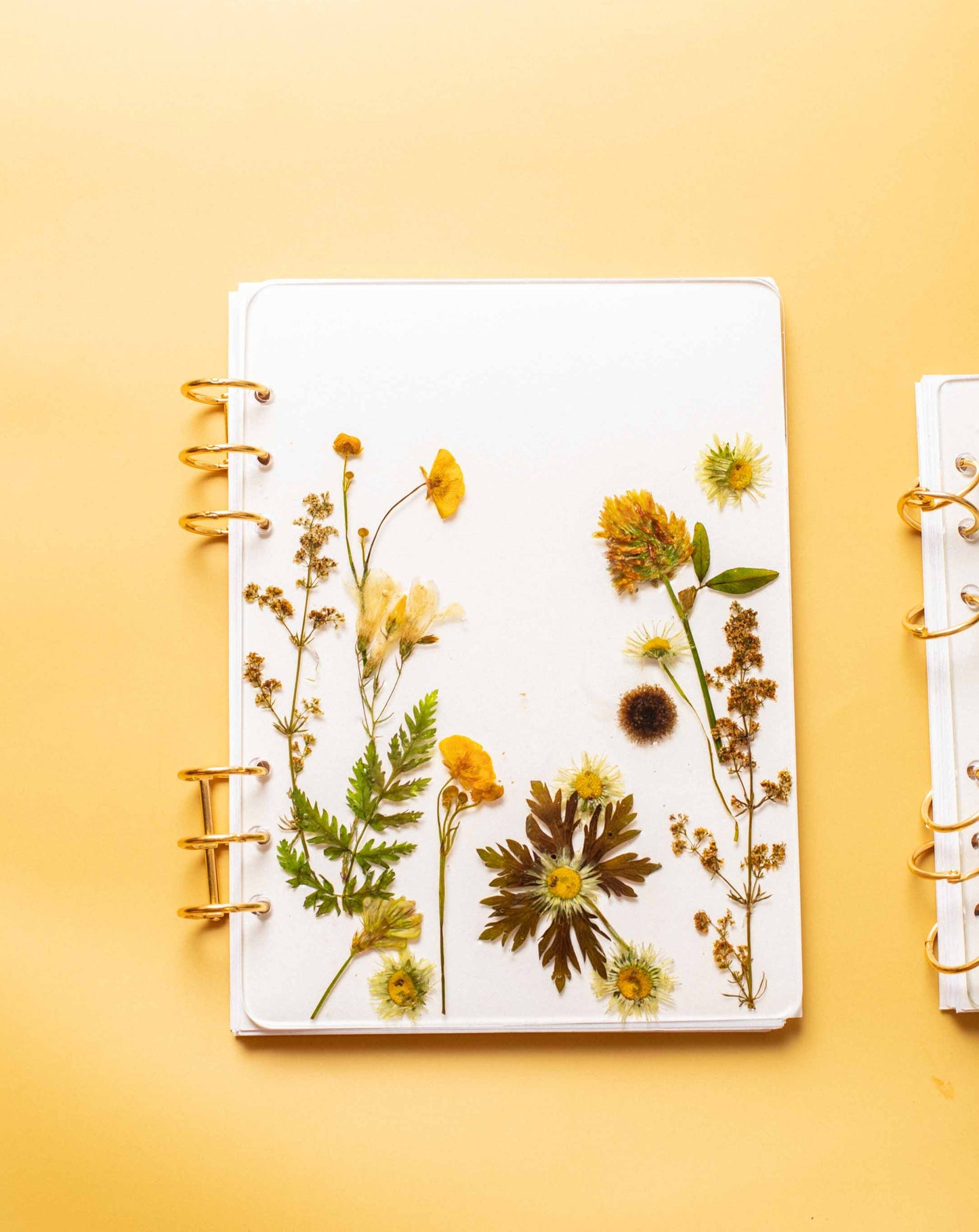 LIBRETA BLOOM PEQUEÑA