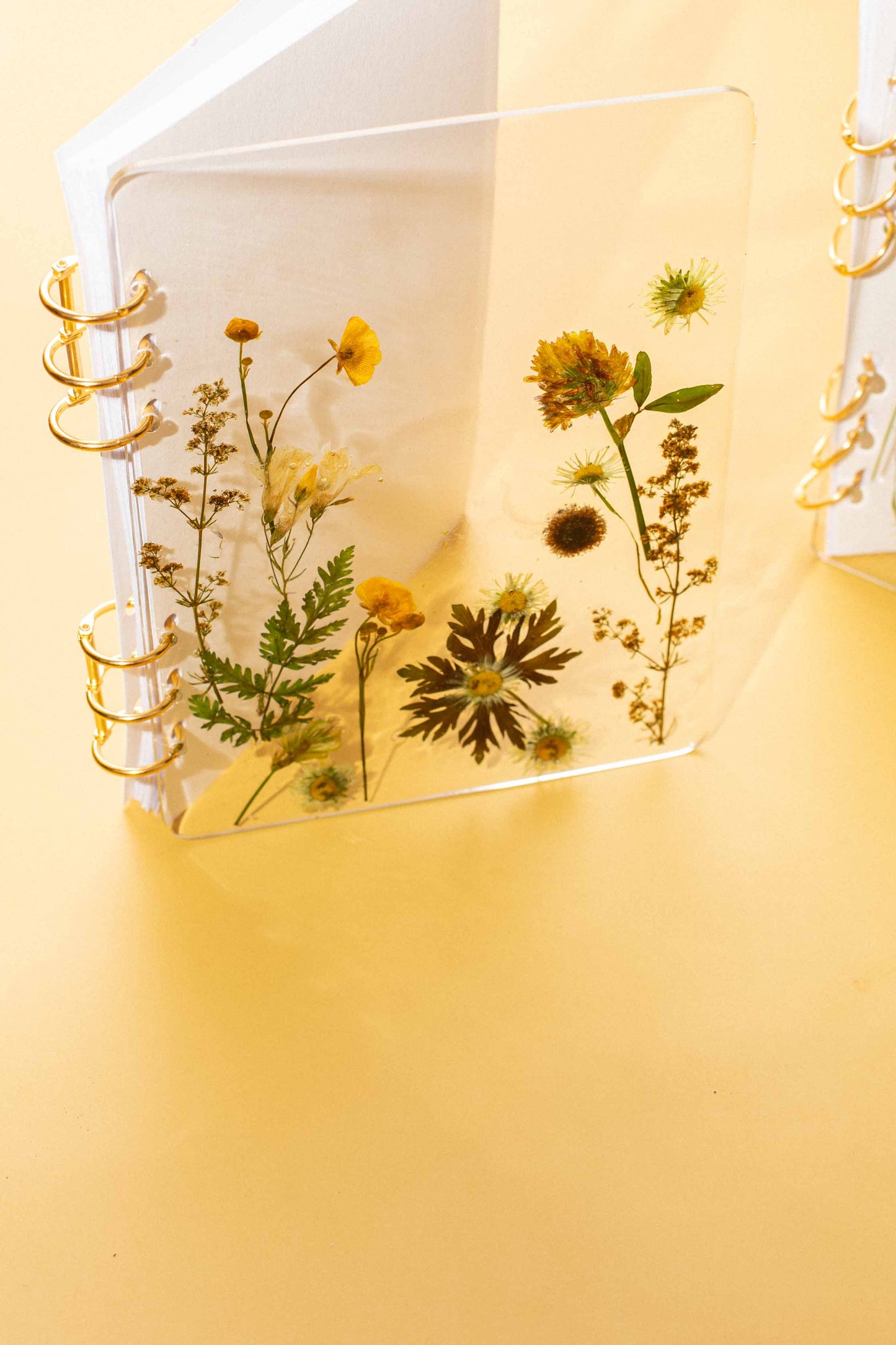 LIBRETA BLOOM