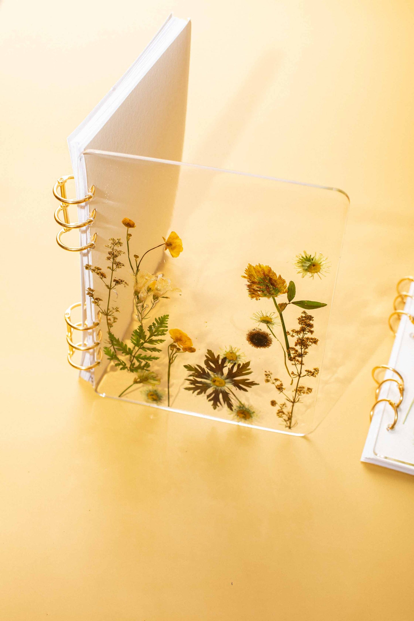 LIBRETA BLOOM