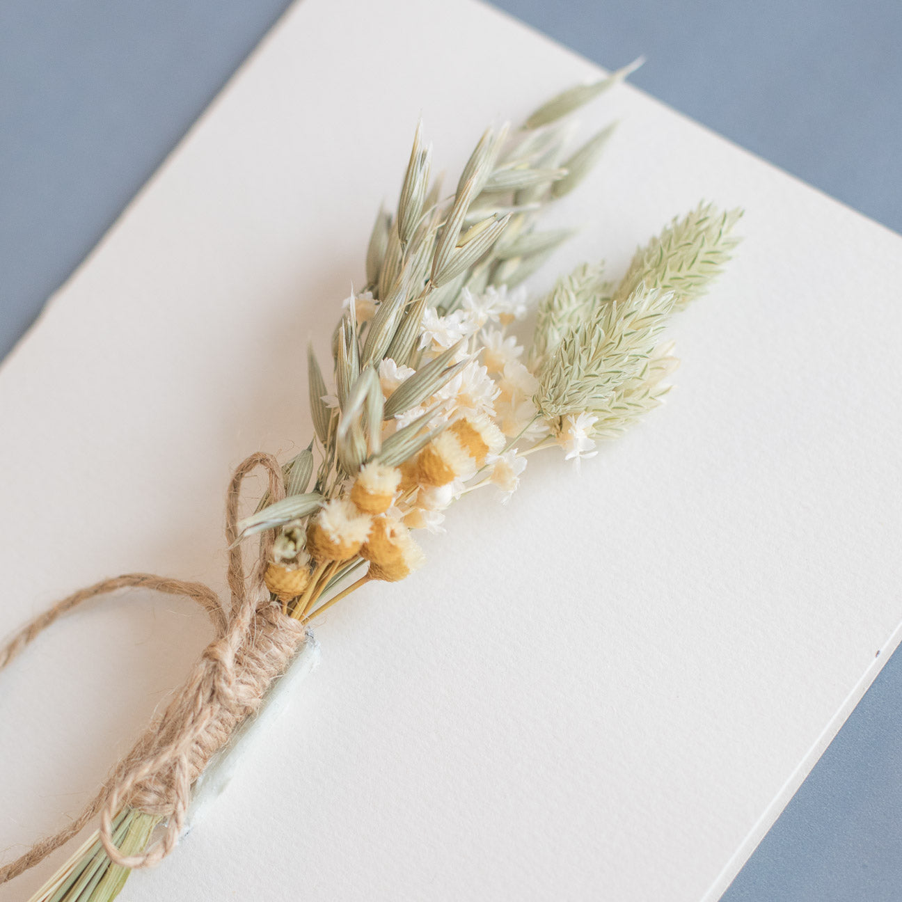 Postal Flores Silvestres