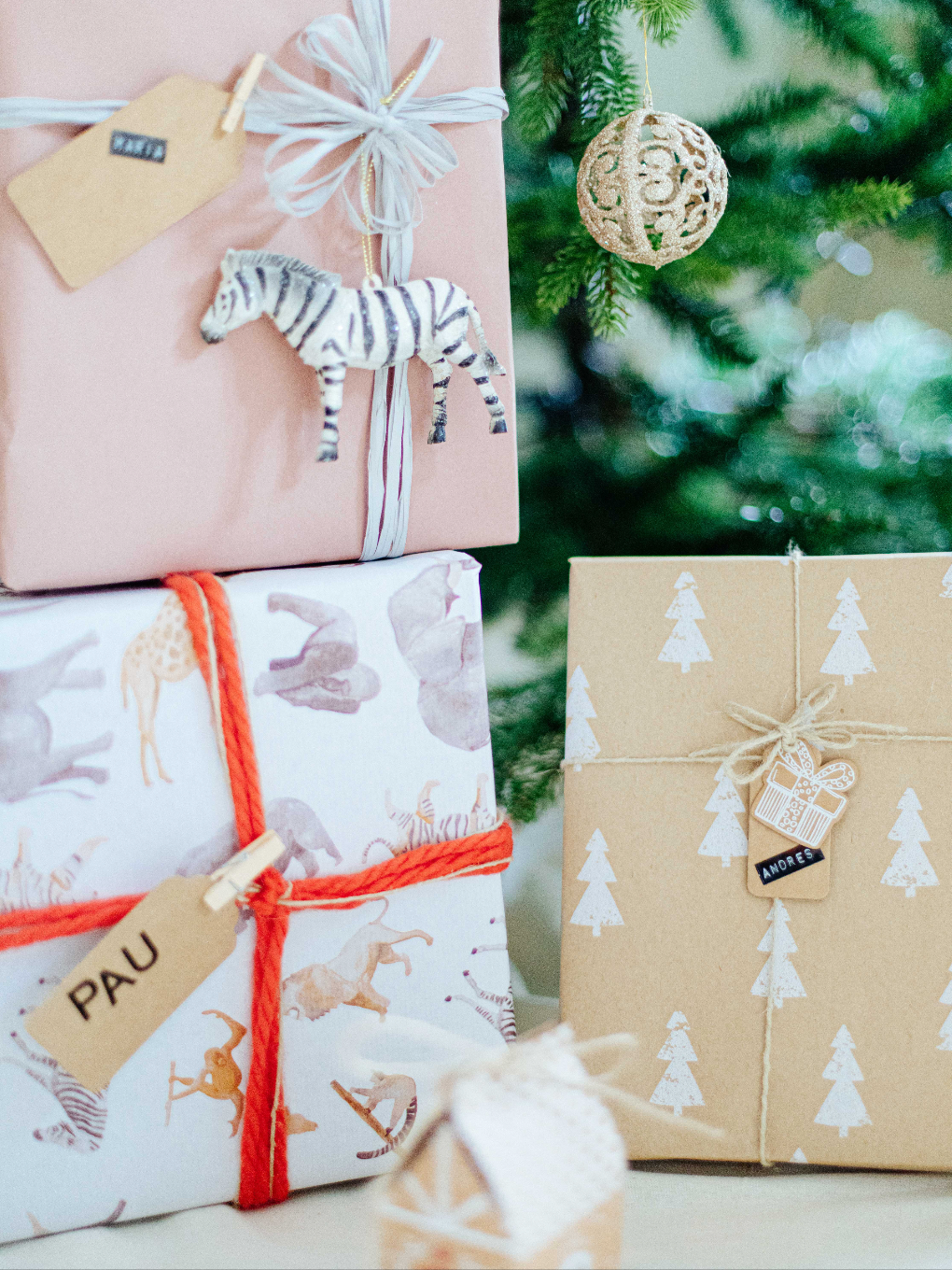 Pack Navidad Salvaje