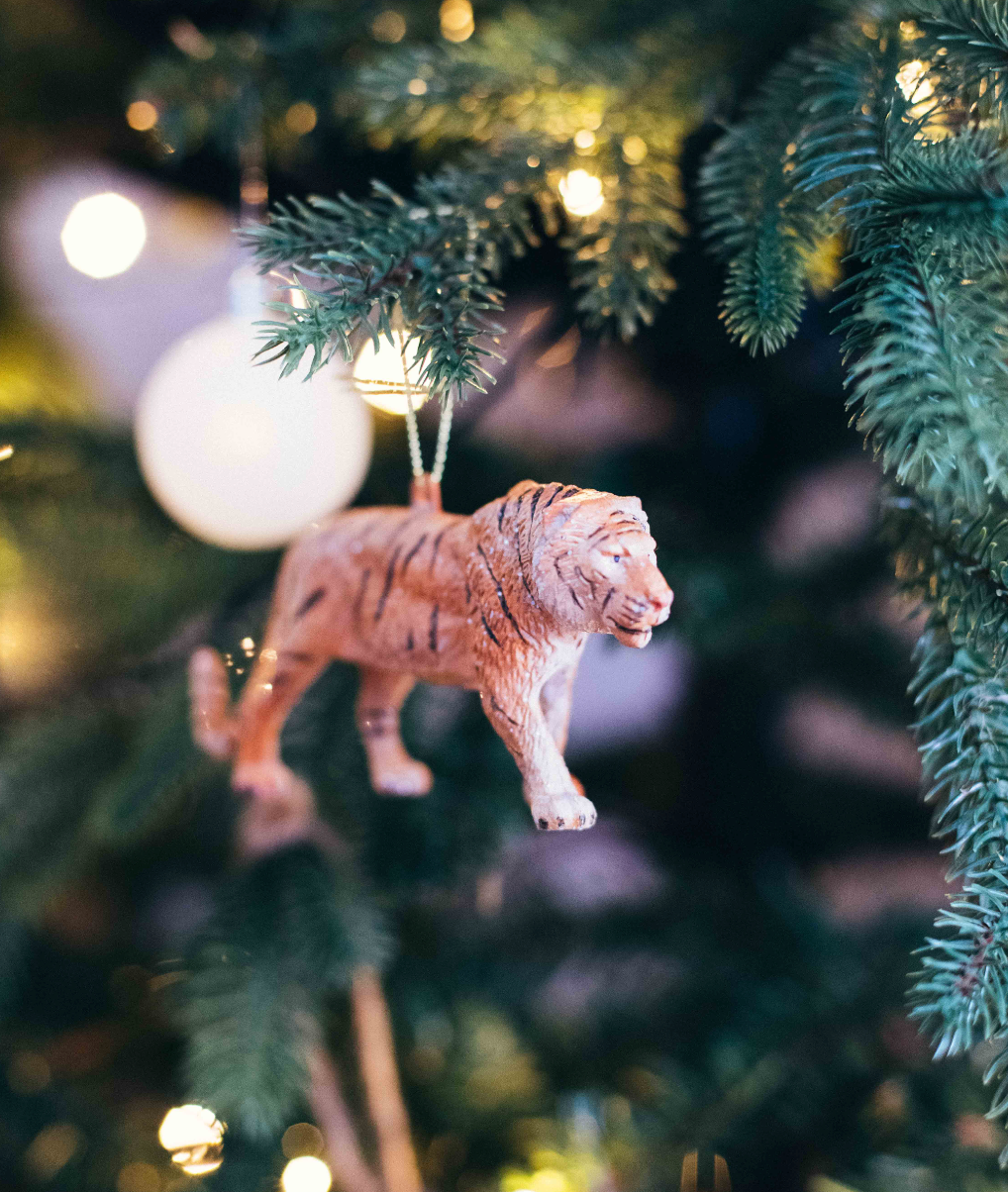 Juguete Navidad Salvaje