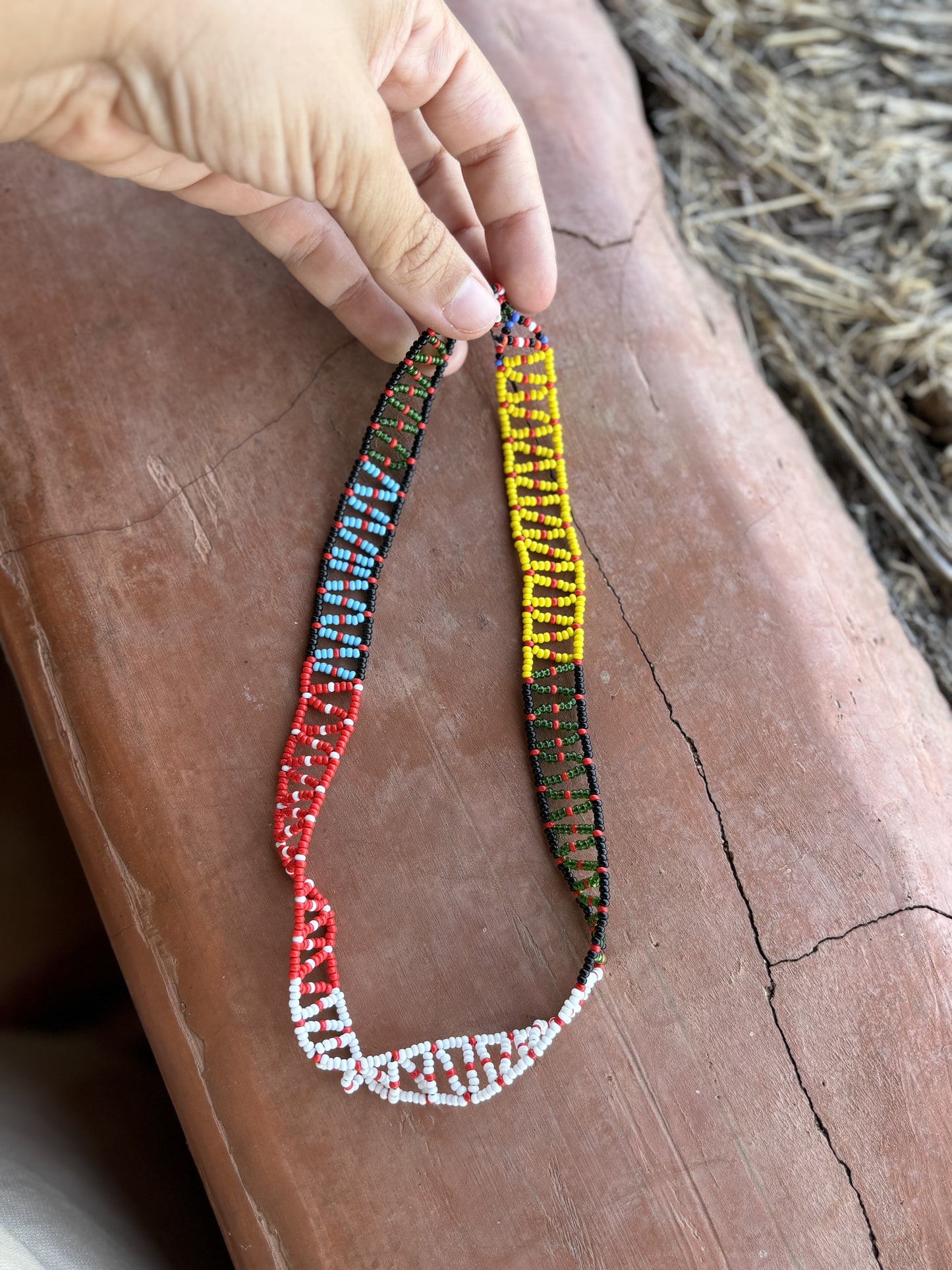 Collar Lobeyo