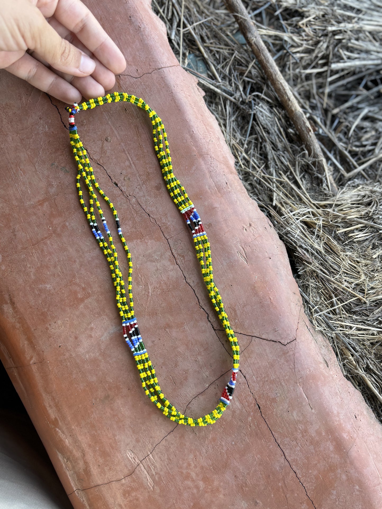 Collar Yellow Blue
