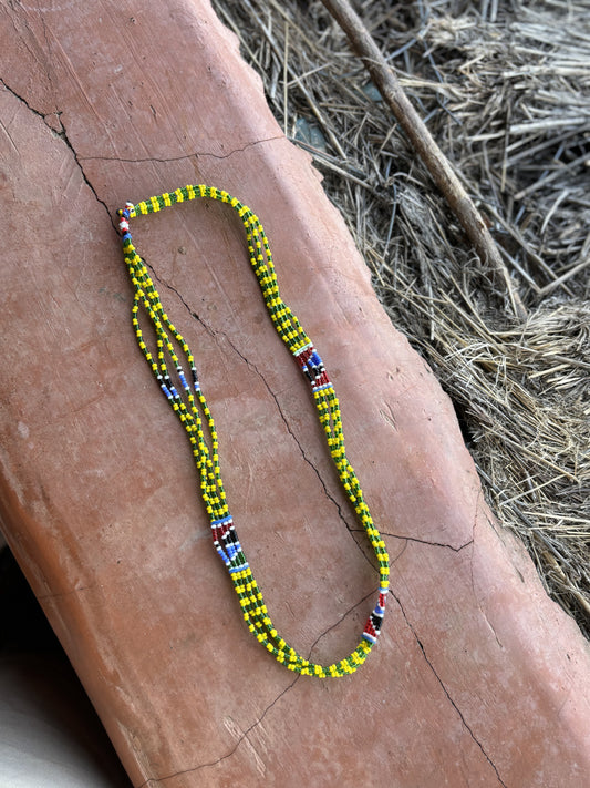 Collar Yellow Blue