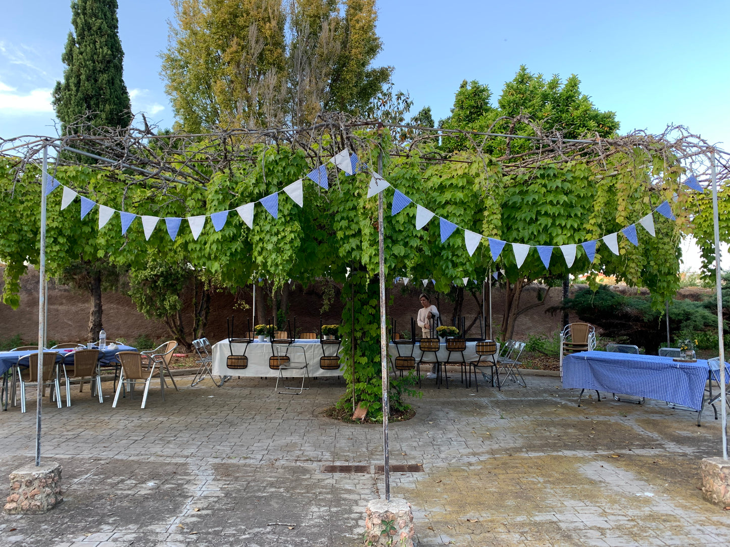 Banderines Vichy
